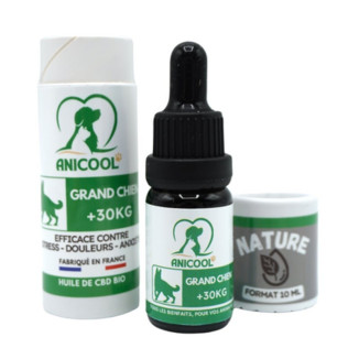 Huile Chanvre ANICOOL 10% - Grand Chien 10ml - Bien-être Articulations