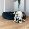 Jouet tir corde Duvo Levi bleu : robuste, idéal rapport chien