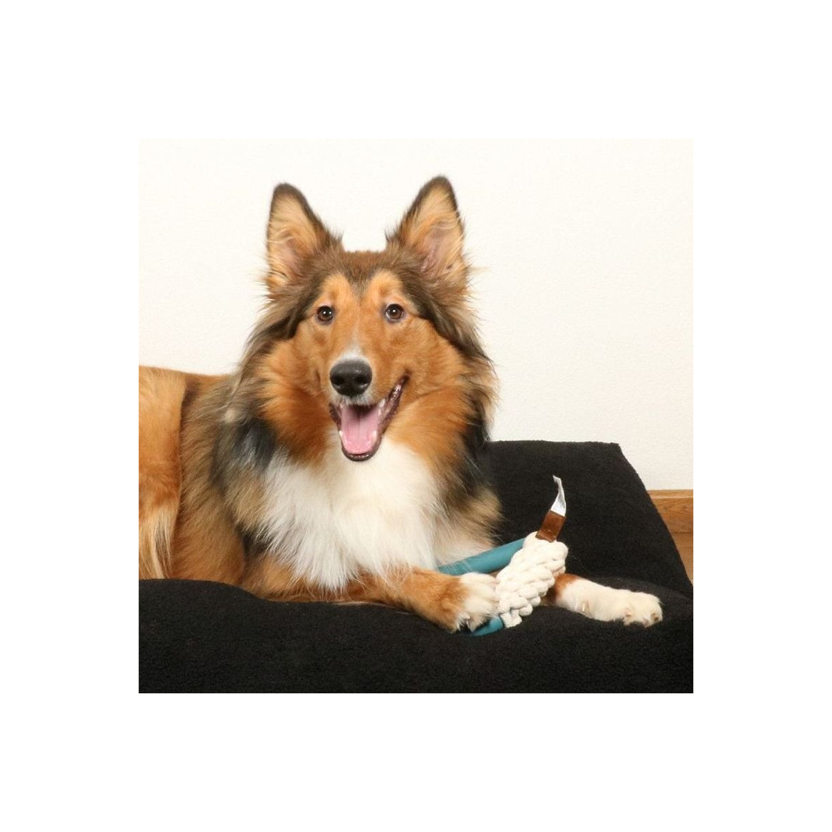 Jouet Duvo Milan bleu - Caoutchouc TPR + corde coton pour chien