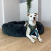Jouet Duvo Milan bleu - Caoutchouc TPR + corde coton pour chien