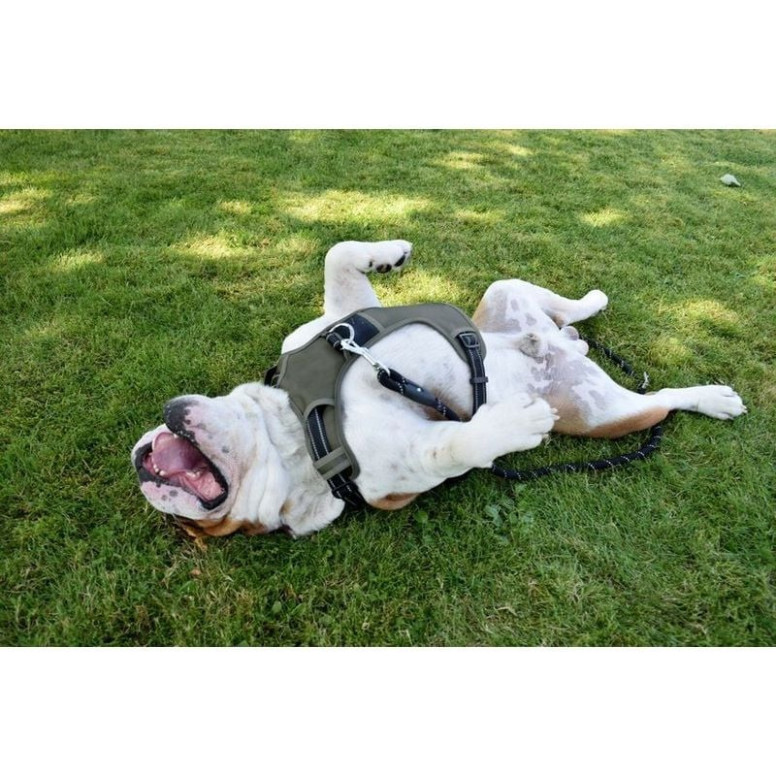 Harnais chien Croci - Rando Walk kaki, anti-traction, réglable 46-70cm