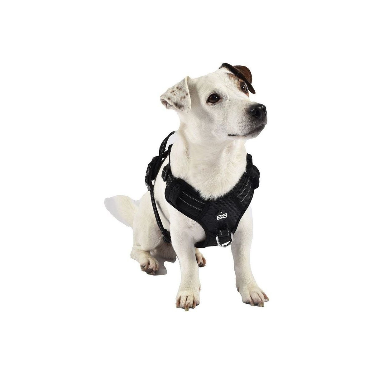 Harnais Croci Rando Walk Noir - Randonnée Chien 46-70cm, Anti-Traction