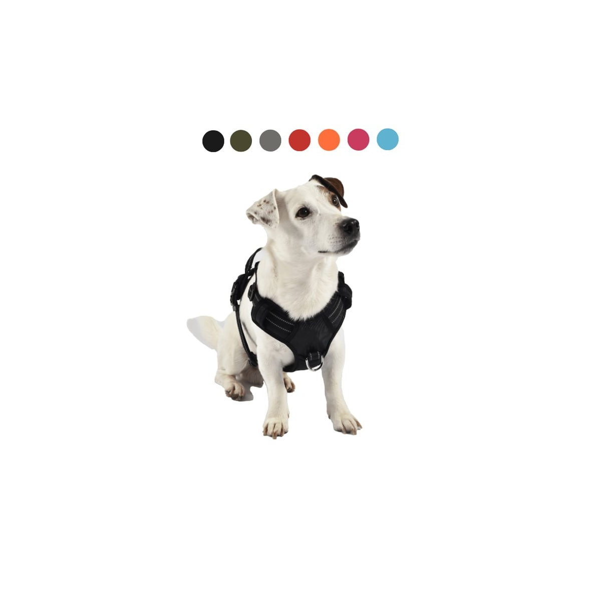 Harnais Croci XL (53-82cm) - Confort & Sécurité Randonnée Chien/Chat