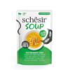 Soupe hydratante Schesir Chat Poulet Citrouille 40g - 90% Humidité