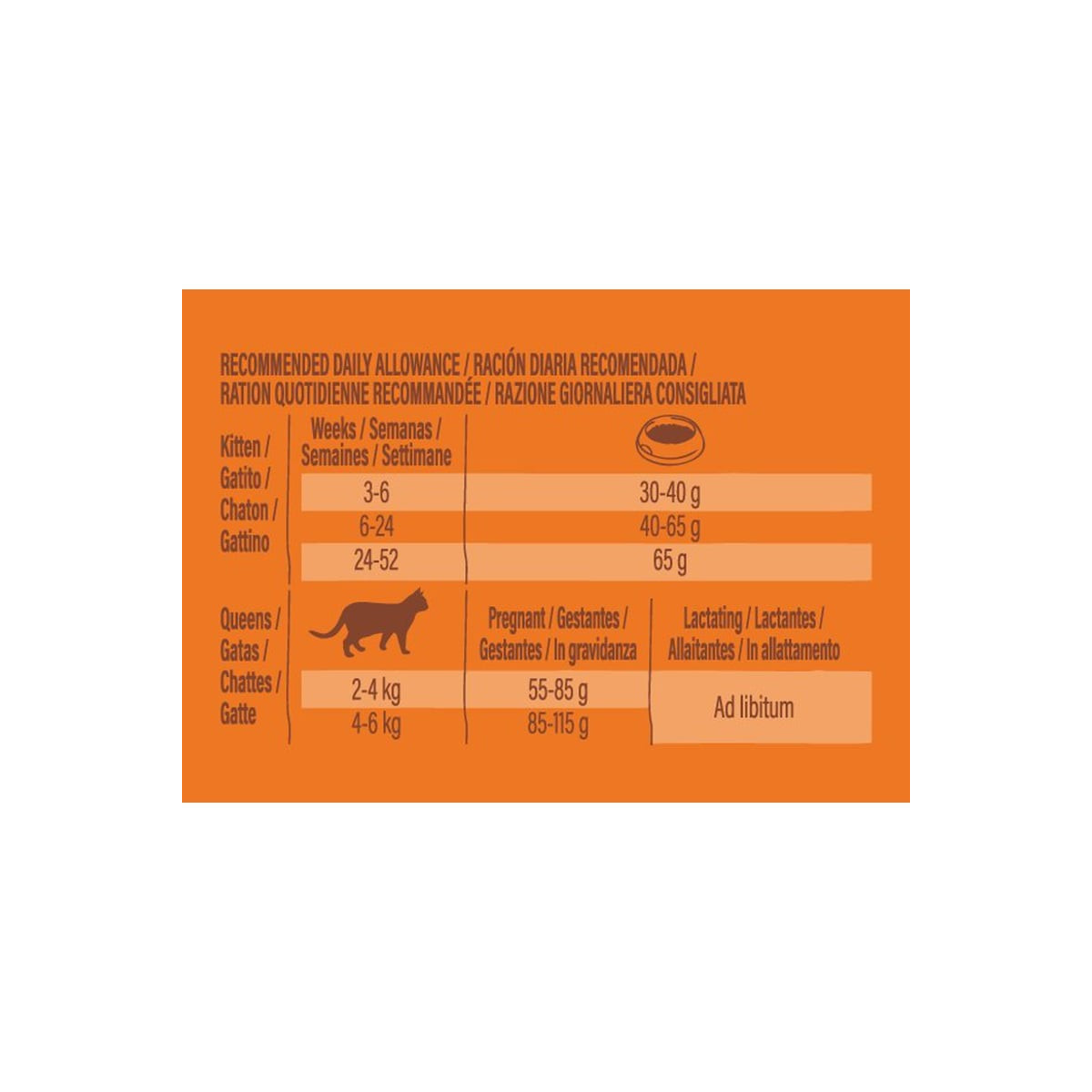Croquettes Chatons Poulet 3kg Sans Céréales - Développement Optimal
