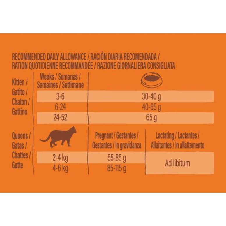 Croquettes Chatons Poulet 3kg Sans Céréales - Développement Optimal