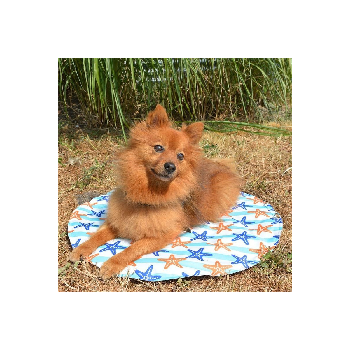 Tapis Duvoplus 60x60cm : fraîcheur pour chien et chat