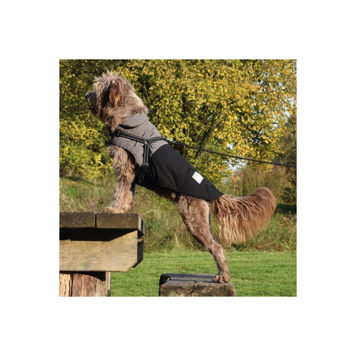 Croci 25XS : Manteau chien hiver noir - Confort, sécurité et élégance