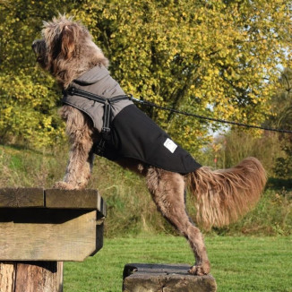 Croci 25XS : Manteau chien hiver noir - Confort, sécurité et élégance