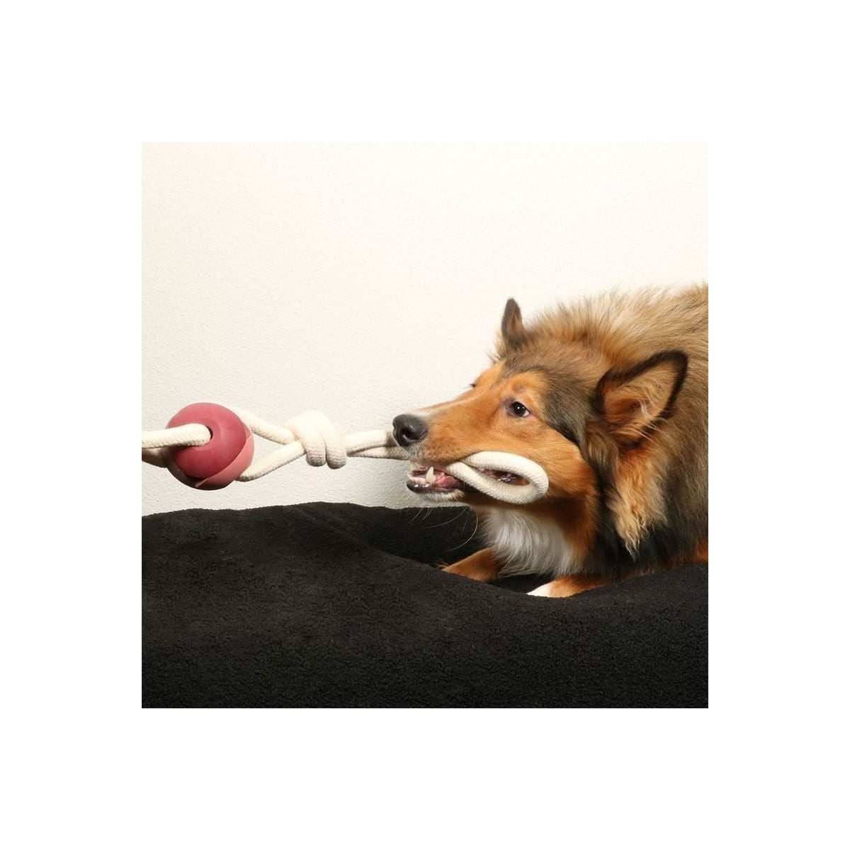 DUVO Yara rose : Jouet chien balle + corde - 66 cm - Sécurité garantie