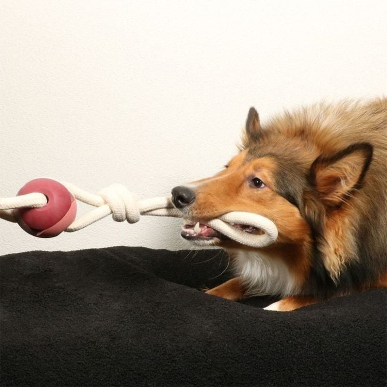 DUVO Yara rose : Jouet chien balle + corde - 66 cm - Sécurité garantie