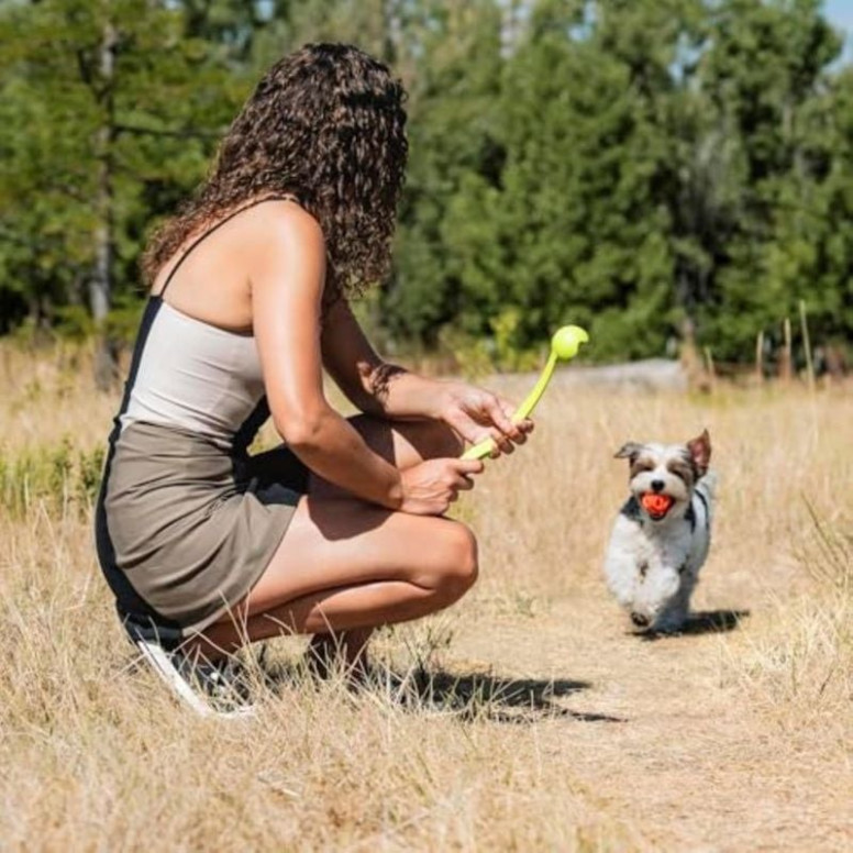 Jouet Chuckit! Air Fetch Ball M - 2 balles flottantes 6 cm pour chien