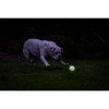 Balle Chuckit! Air Glow 6cm - Lumineuse pour jeux nocturnes