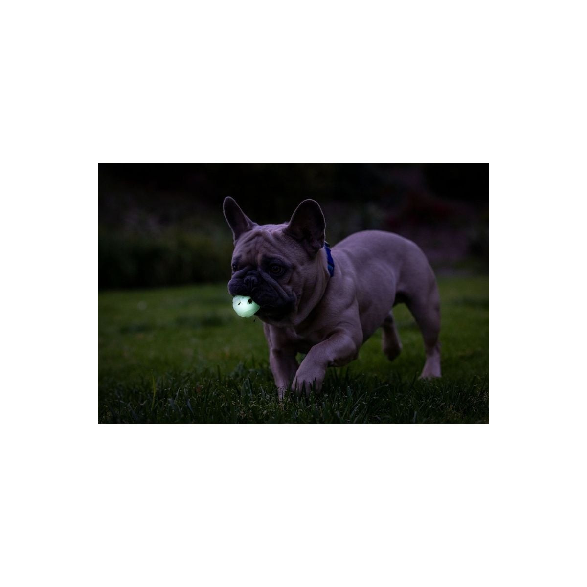 Jouet Chuckit! Air Glow Ball S - 2 balles lumineuses pour chien