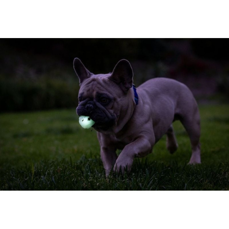Jouet Chuckit! Air Glow Ball S - 2 balles lumineuses pour chien