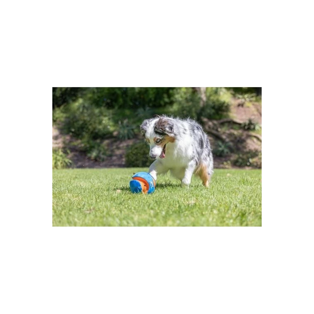 Jouet Chuckit! Giggle Kick Fetch 14cm - Lancez et amusez votre chien