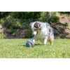 Jouet Chuckit! Giggle Kick Fetch 14cm - Lancez et amusez votre chien