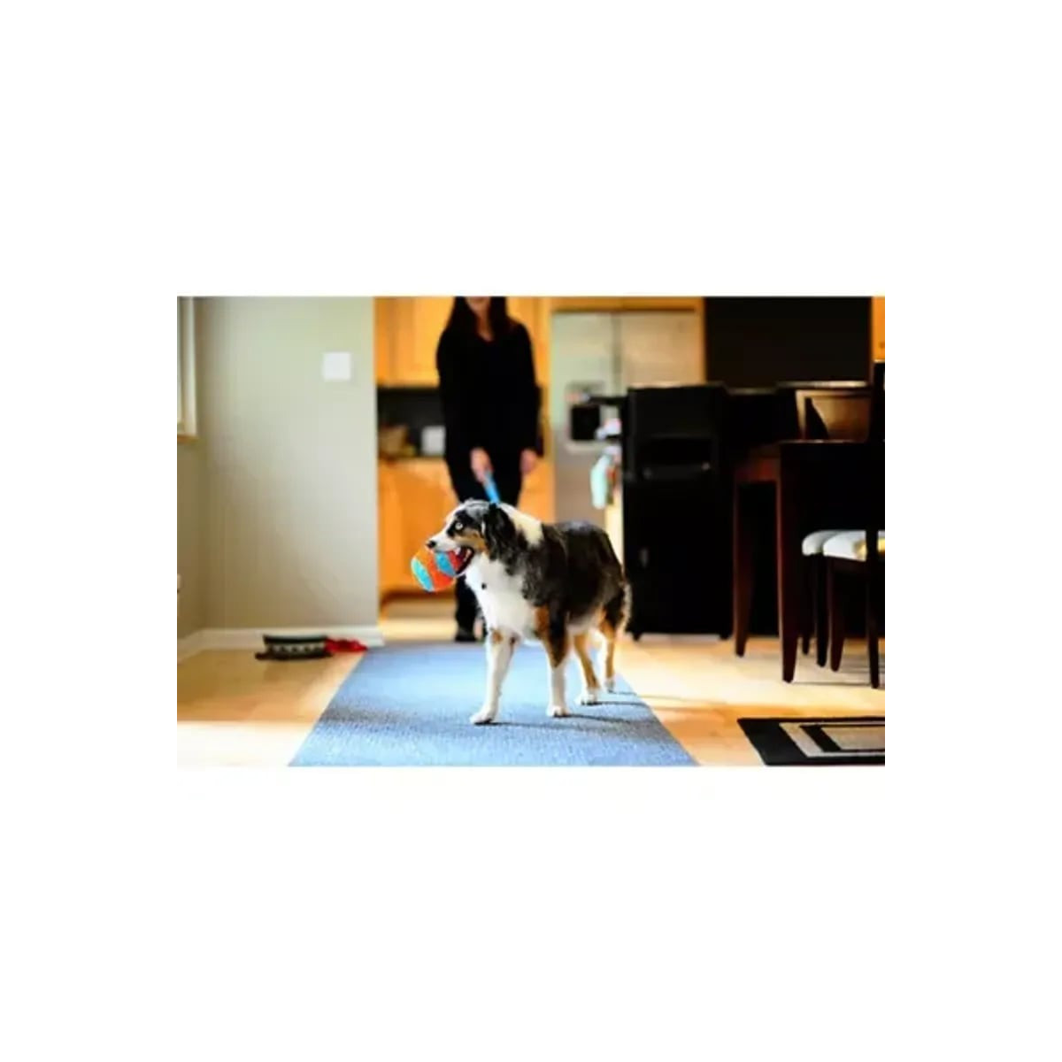 Balle Chuckit! Indoor - Jeu silencieux et durable pour chiens, 12 cm