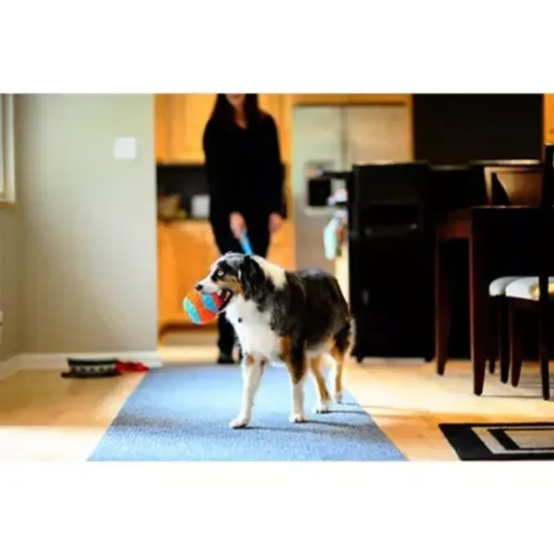 Balle Chuckit! Indoor - Jeu silencieux et durable pour chiens, 12 cm