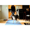Balle Chuckit! Indoor - Jeu silencieux et durable pour chiens, 12 cm