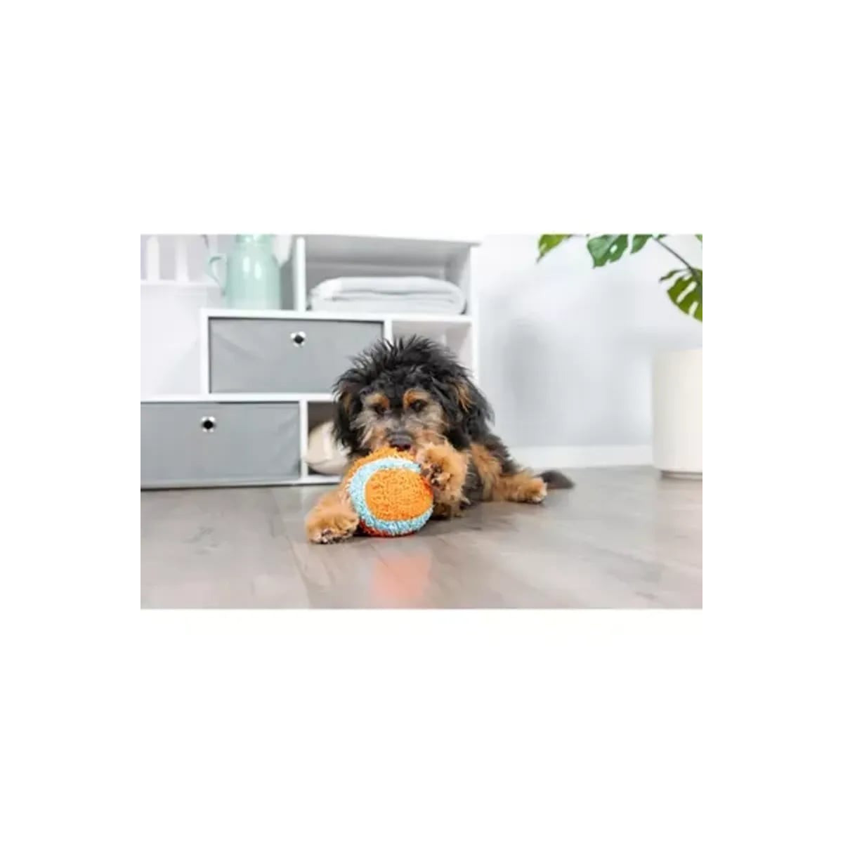 Balle Chuckit! Indoor - Jeu silencieux et durable pour chiens, 12 cm