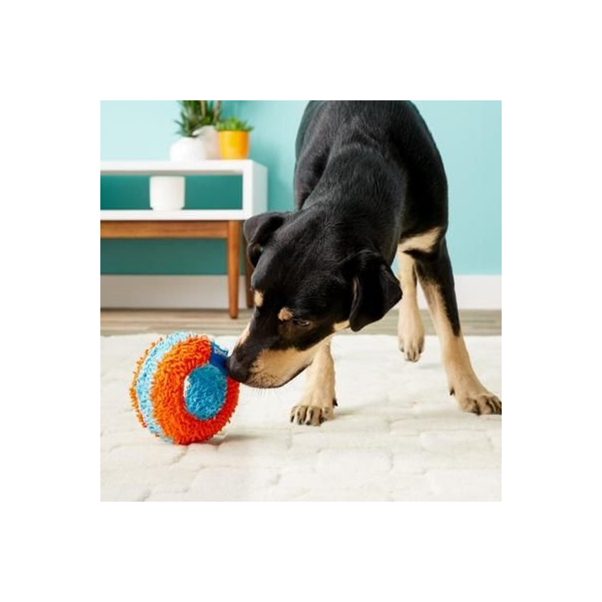 Jouet Chuckit! Indoor : Roller silencieux pour chiens
