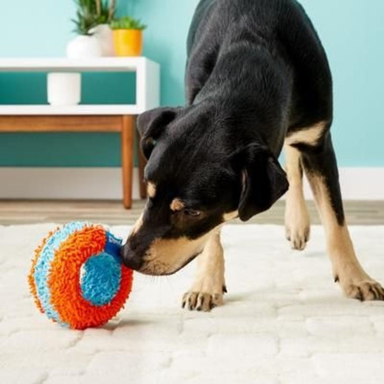 Jouet Chuckit! Indoor : Roller silencieux pour chiens