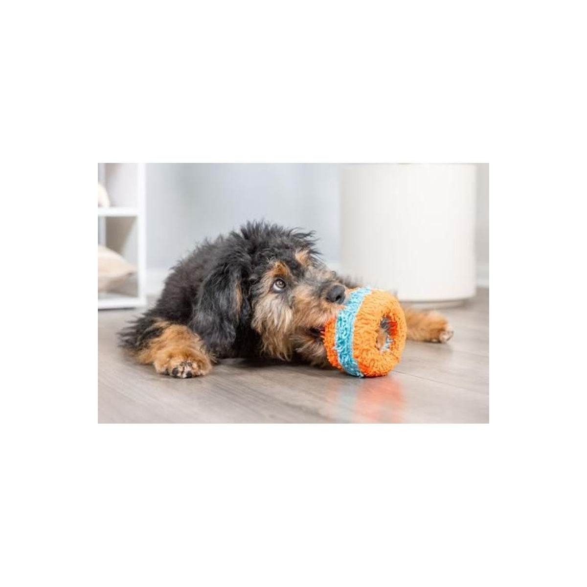 Jouet Chuckit! Indoor : Roller silencieux pour chiens