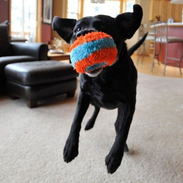 Jouet Chuckit! Indoor : Roller silencieux pour chiens
