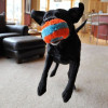 Jouet Chuckit! Indoor : Roller silencieux pour chiens