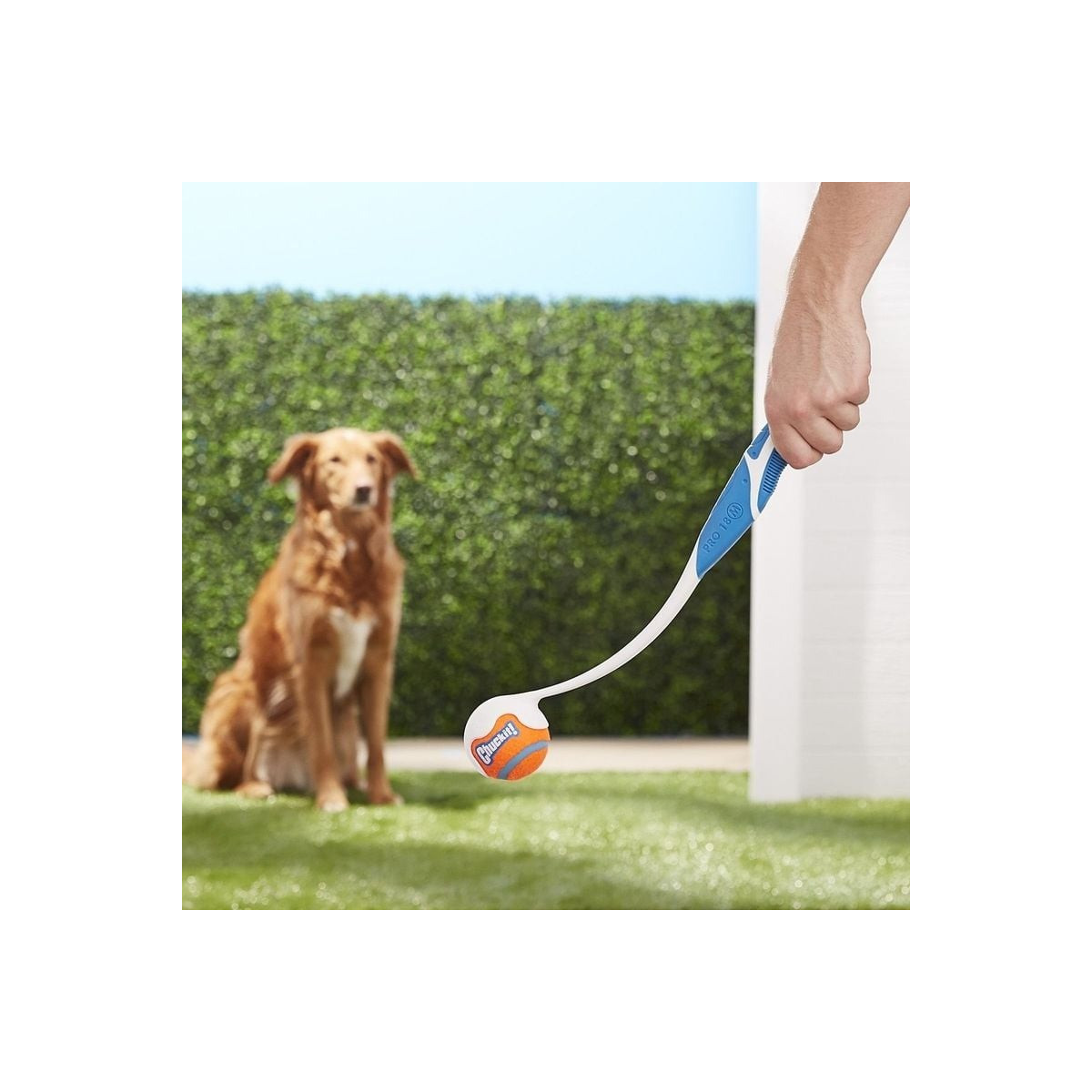 Chuckit! Pro Launcher M 45cm : Jouet chien pour lancers puissants