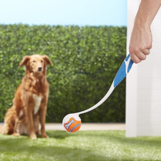 Chuckit! Pro Launcher M 45cm : Jouet chien pour lancers puissants