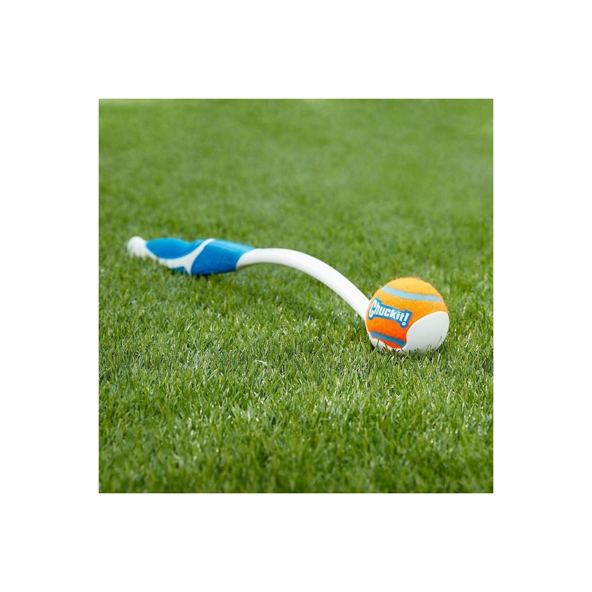 Chuckit! Pro Launcher M 45cm : Jouet chien pour lancers puissants