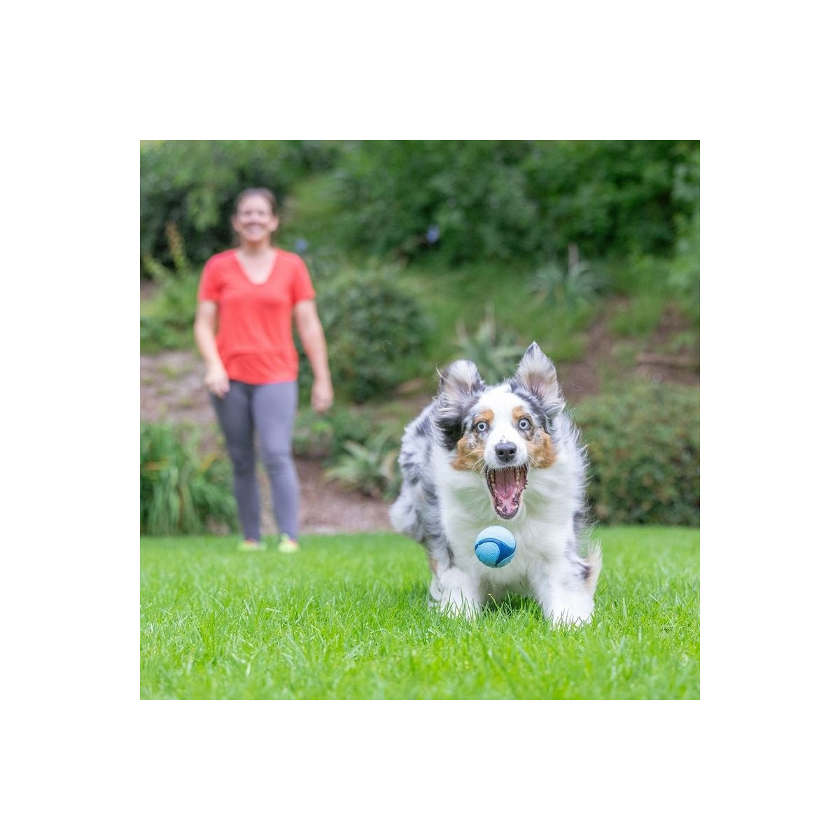 Jouet chien Chuckit! Bacon M - Parfum et rebond pour jeux dynamiques