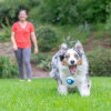Jouet chien Chuckit! Bacon M - Parfum et rebond pour jeux dynamiques
