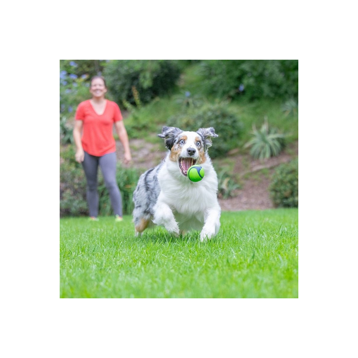 Balle Chuckit! Sniff Beurre Cacahuète M - Durable et flottante