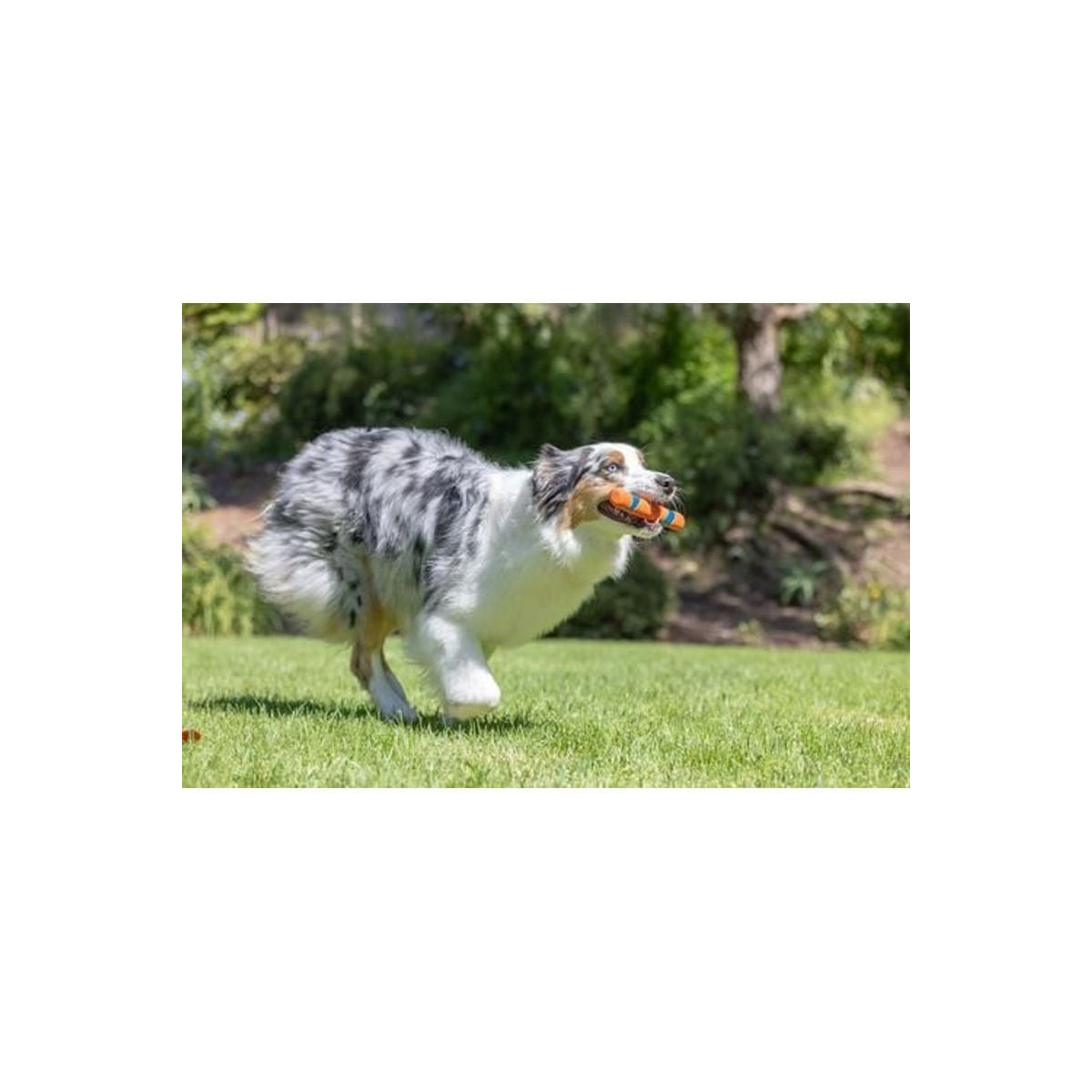 Jouet Chuckit! Ultra Fetch 28cm - Lancez sans vous baisser
