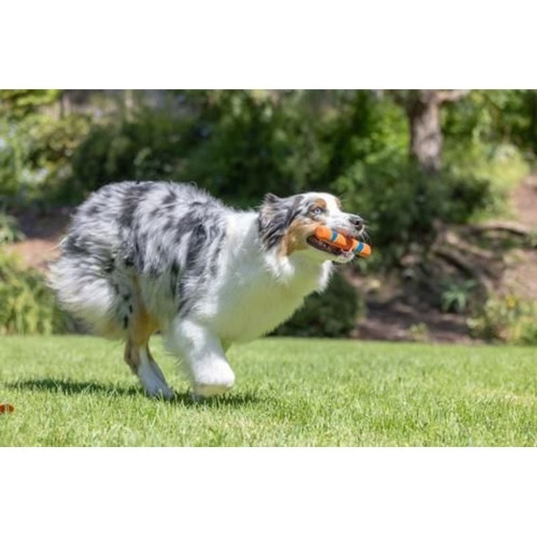 Jouet Chuckit! Ultra Fetch 28cm - Lancez sans vous baisser