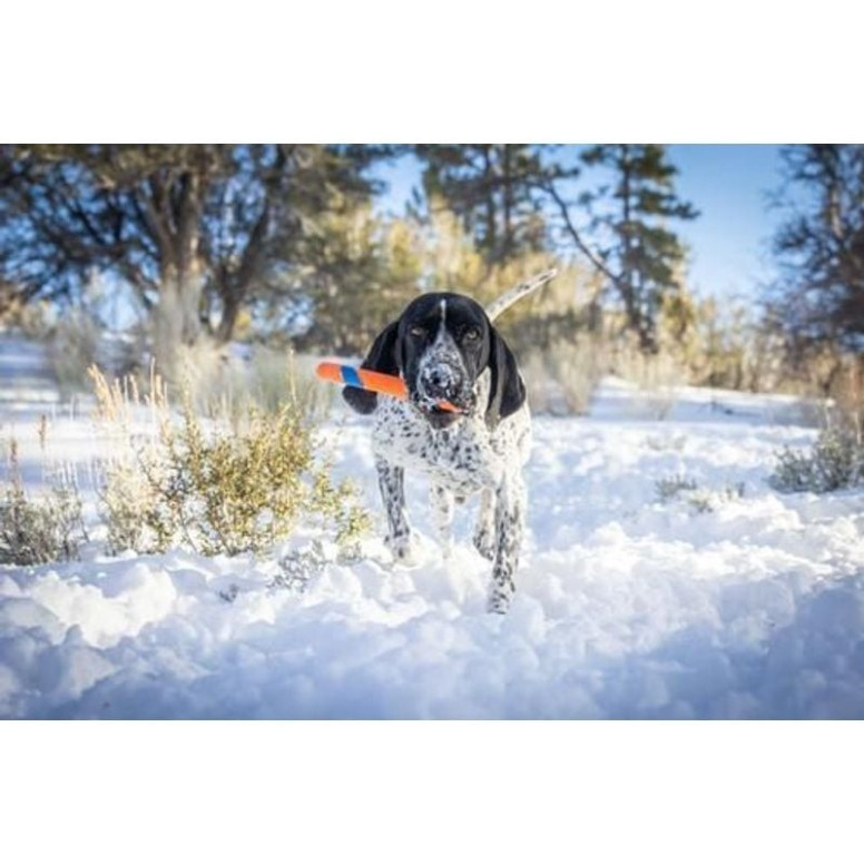 Jouet Chuckit! Ultra Fetch 28cm - Lancez sans vous baisser