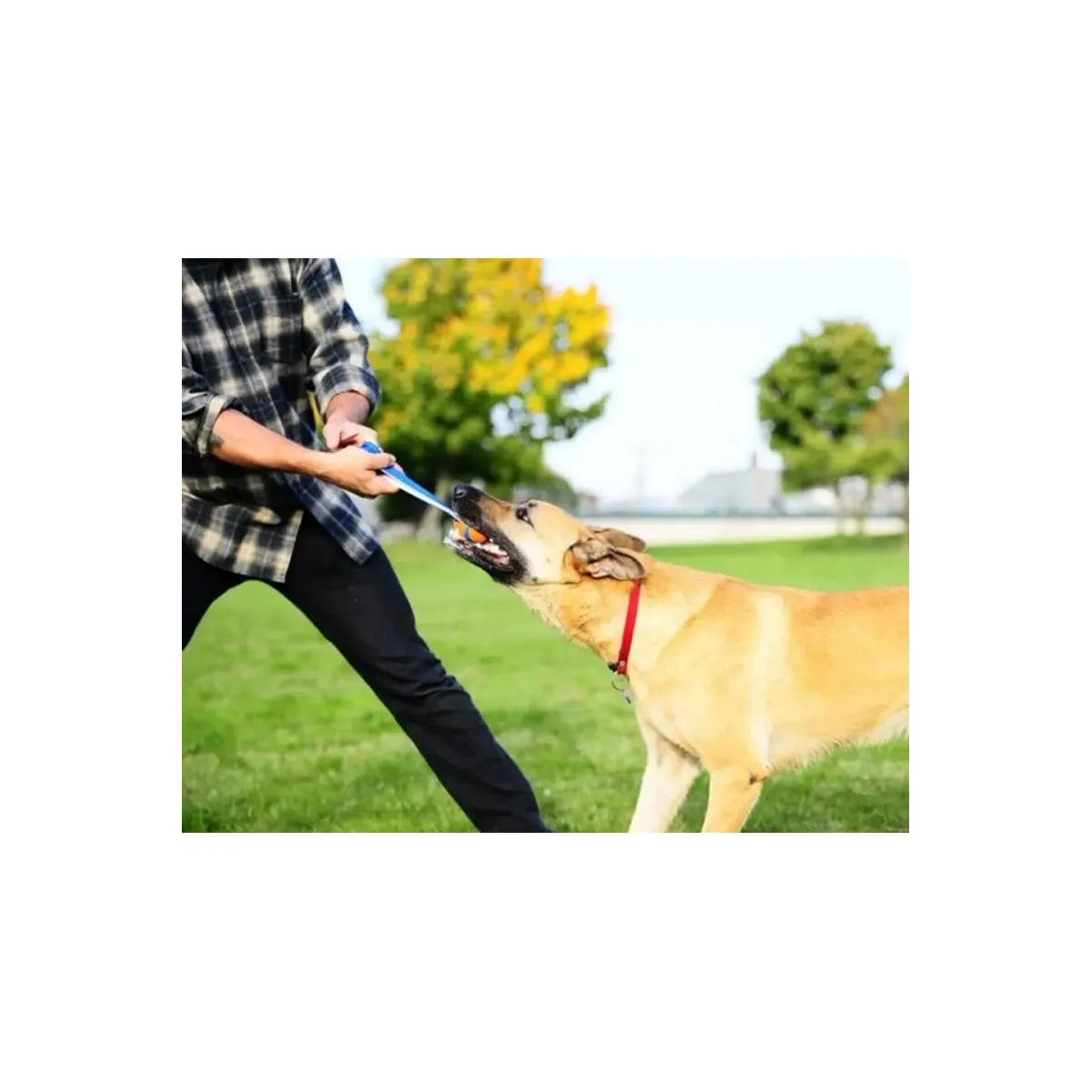 Jouet Chuckit! Ultra Tug L - Robuste et flottant pour grands chiens