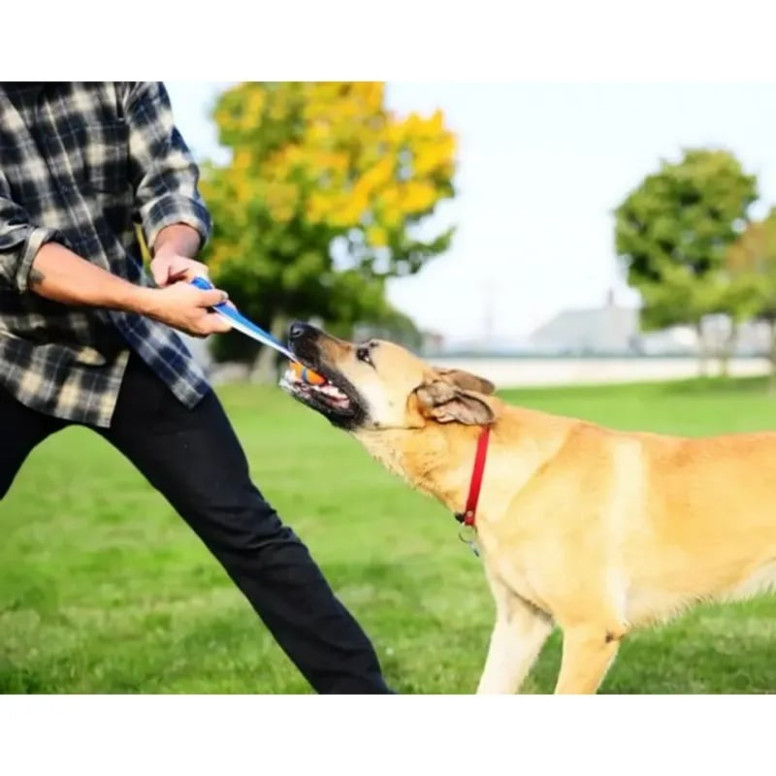 Jouet Chuckit! Ultra Tug L - Robuste et flottant pour grands chiens