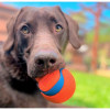 Jouet chien Ultra Tumbler : Lancez 3x plus loin avec Chuckit!