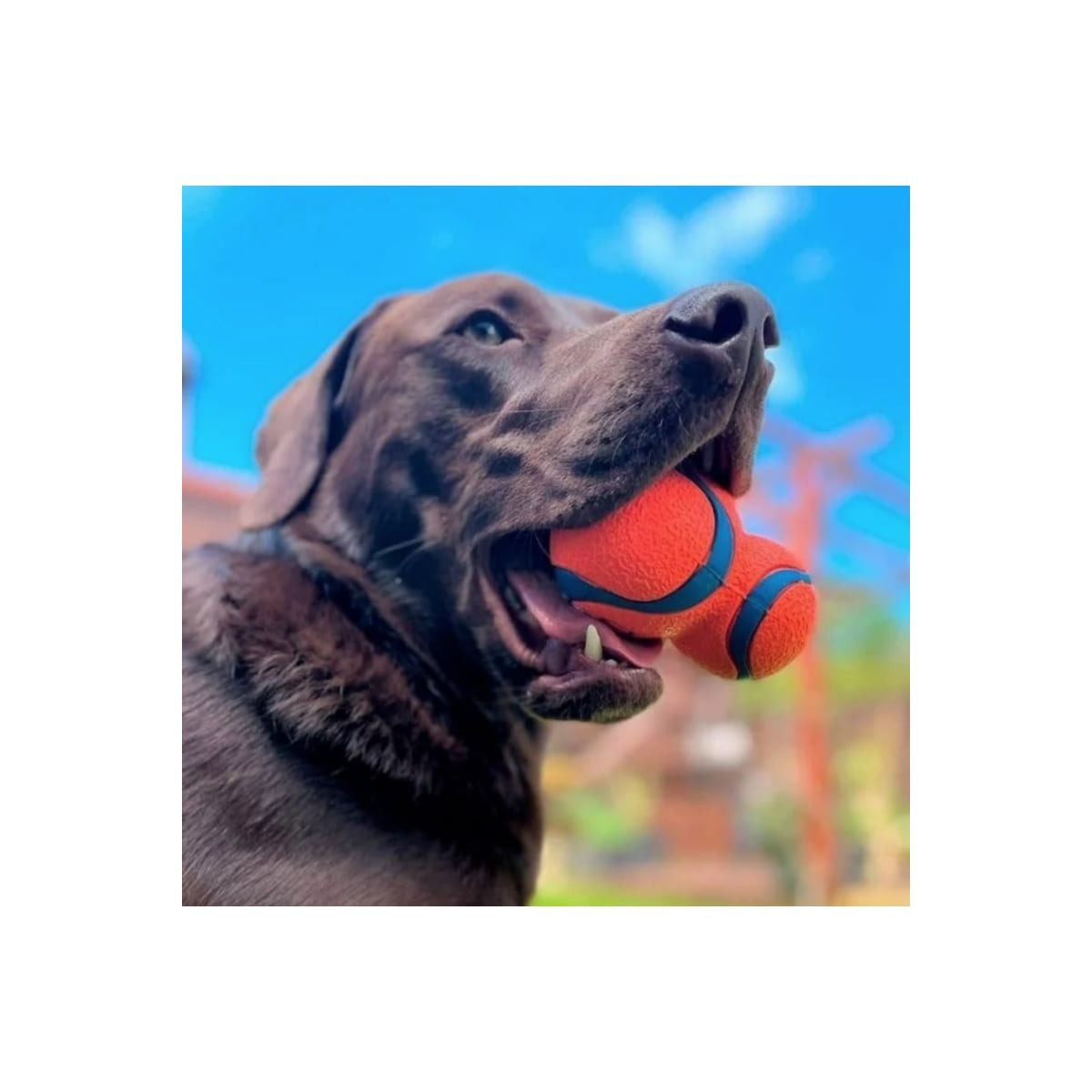 Jouet chien Ultra Tumbler : Lancez 3x plus loin avec Chuckit!