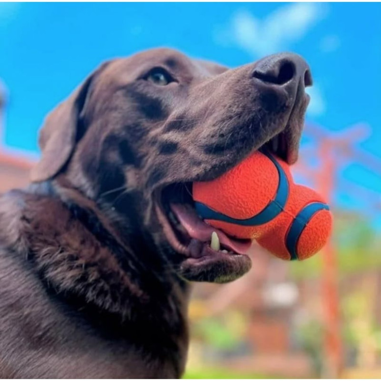 Jouet chien Ultra Tumbler : Lancez 3x plus loin avec Chuckit!