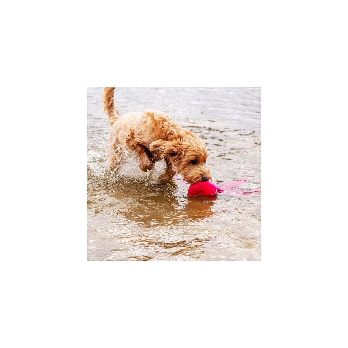 Dog Comets Alien Rose - Jouet chien flottant interactif 37cm