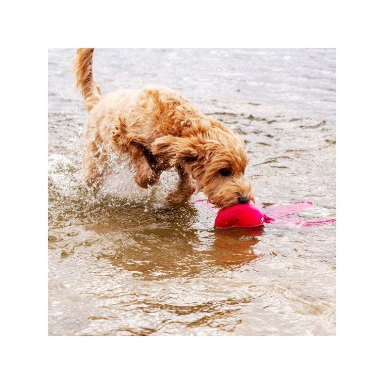 Dog Comets Alien Rose - Jouet chien flottant interactif 37cm