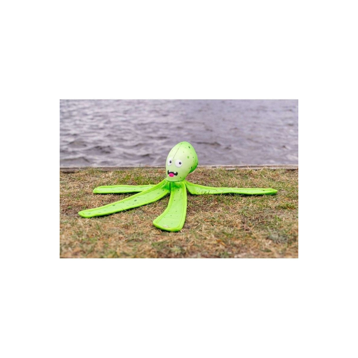 Jouet chien Dog Comets Alien Vert - 28cm - Jeu aquatique & interactif