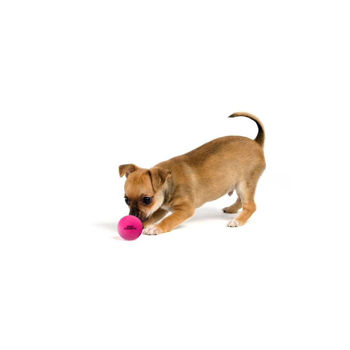 Balle chien Dog Comets Stardust Rose - Jouet naturel flottant 5 cm