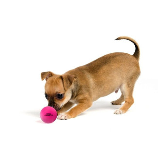 Balle chien Dog Comets Stardust Rose - Jouet naturel flottant 5 cm