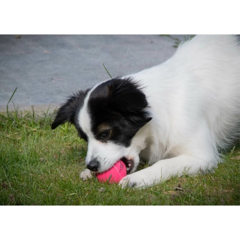 Balle chien Dog Comets Stardust Rose - Jouet naturel flottant 5 cm